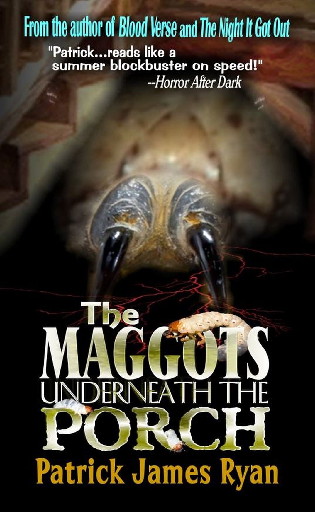 The Maggots Underneath the Porch